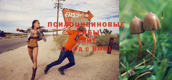 каннабис Баксан