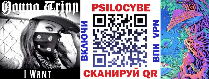 Псилоцибиновые грибы GOLDEN TEACHER  Тосно 